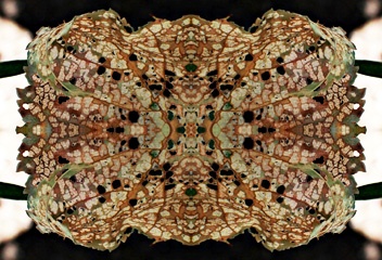 Leaf pattern